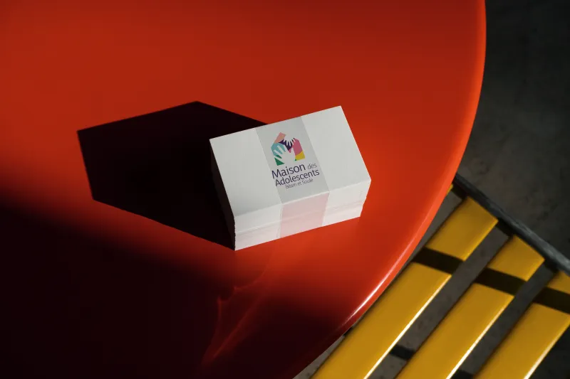 Maison Des Adolescents de Pau - Identité Visuelle